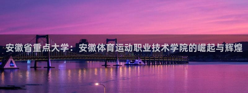 尊龙官方正版app新能源：安徽省重点大学：安徽体育运