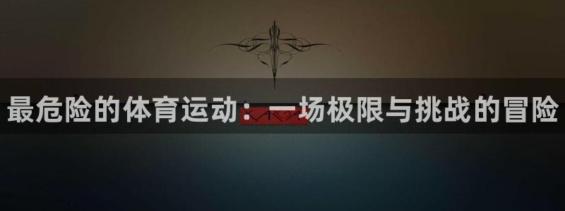 尊龙官方正版app集团logo：最危险的体育运动：一