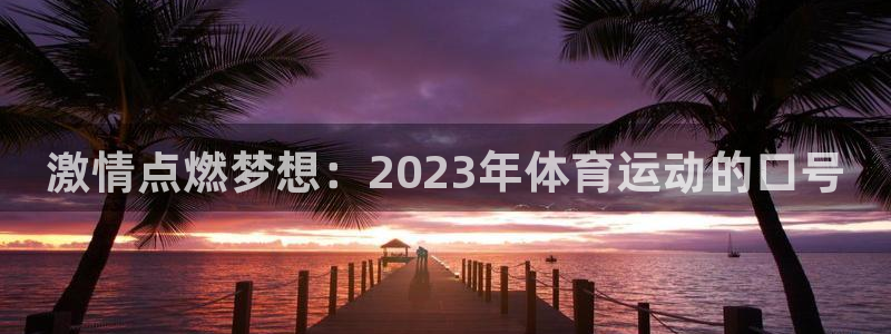 尊龙官方正版app科技：激情点燃梦想：2023年体育