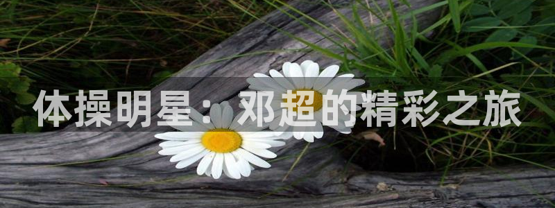 尊龙官网下载招商电话是多少号码：体操明星：邓超的精彩