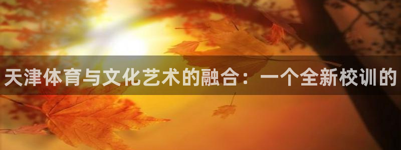 尊龙官方正版app娱乐代理怎么样：天津体育与文化艺术