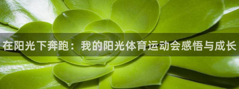尊龙官网下载平台注册流程视频：在阳光下奔跑：我的阳光