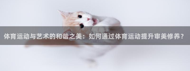 尊龙官网下载招商电话是多少：体育运动与艺术的和谐之美