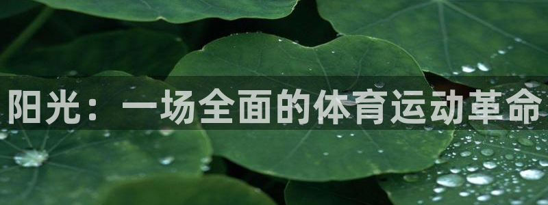 尊龙官方正版app娱乐是那个系列的台子：阳光：一场全