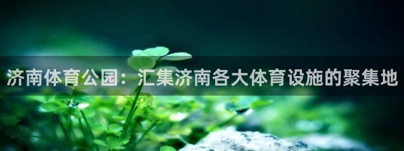 尊龙官方正版app娱乐代理怎么样：济南体育公园：汇集