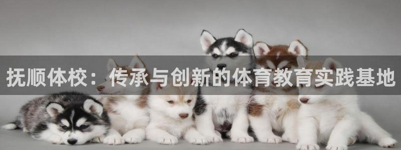 德国尊龙官方正版app集团：抚顺体校：传承与创新的体