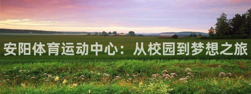 尊龙官网下载平台注册要钱吗：安阳体育运动中心：从校园
