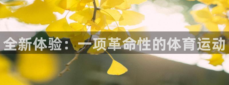 尊龙官方正版app娱乐是那个系列的台子：全新体验：一