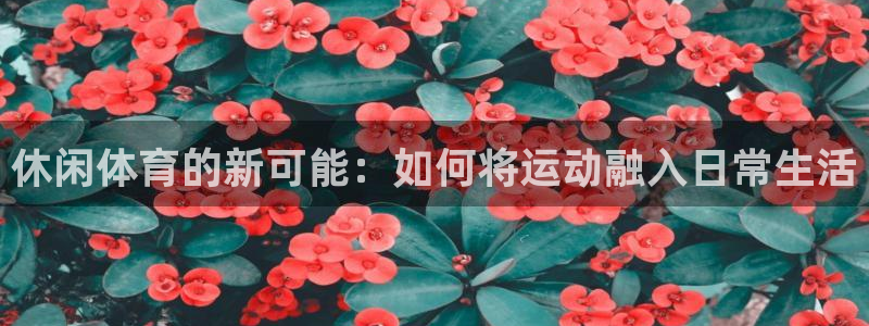 尊龙官方正版app科技：休闲体育的新可能：如何将运动