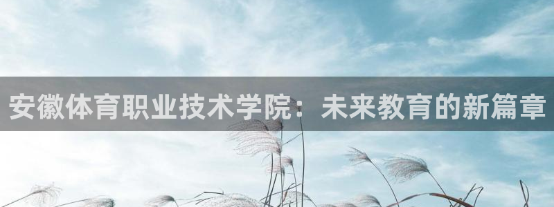 尊龙官网下载平台是正规平台吗安全吗：安徽体育职业技术