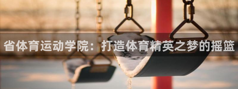 尊龙官方正版app娱乐40996：省体育运动学院：打造体育精