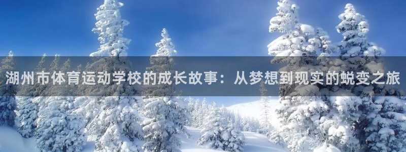尊龙官方正版app五金厂：湖州市体育运动学校的成长故事：从梦