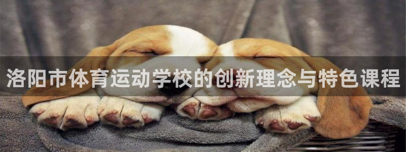 尊龙官方正版app娱乐网站：洛阳市体育运动学校的创新理念与特